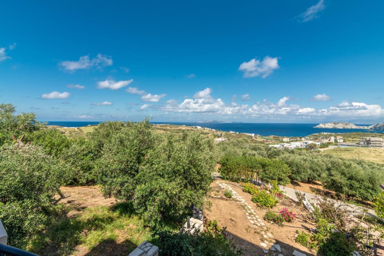 Olive With Pool & Seaview * Agia Pelagia (Crete)