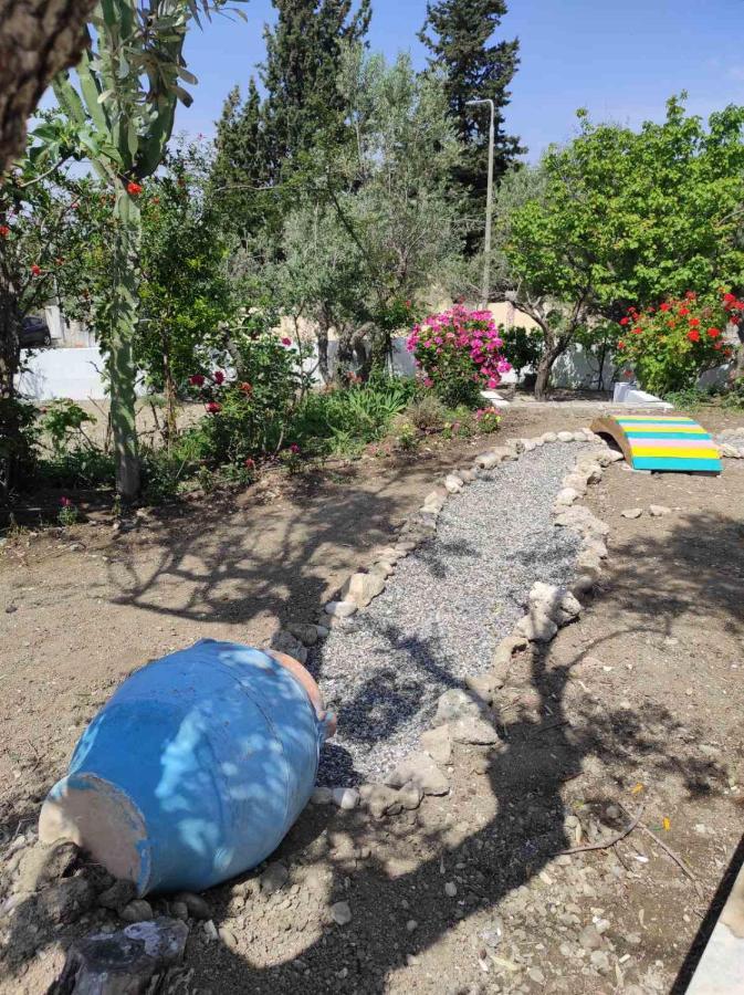 Apartment Arocaria In With Garden , Mountain And Sea View *