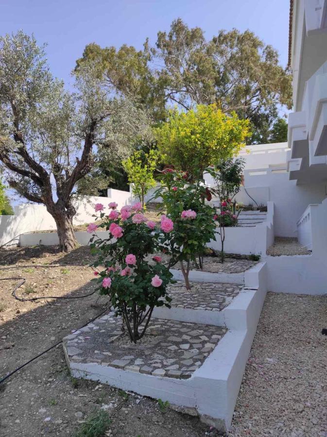 Arocaria In With Garden , Mountain And Sea View Apartment