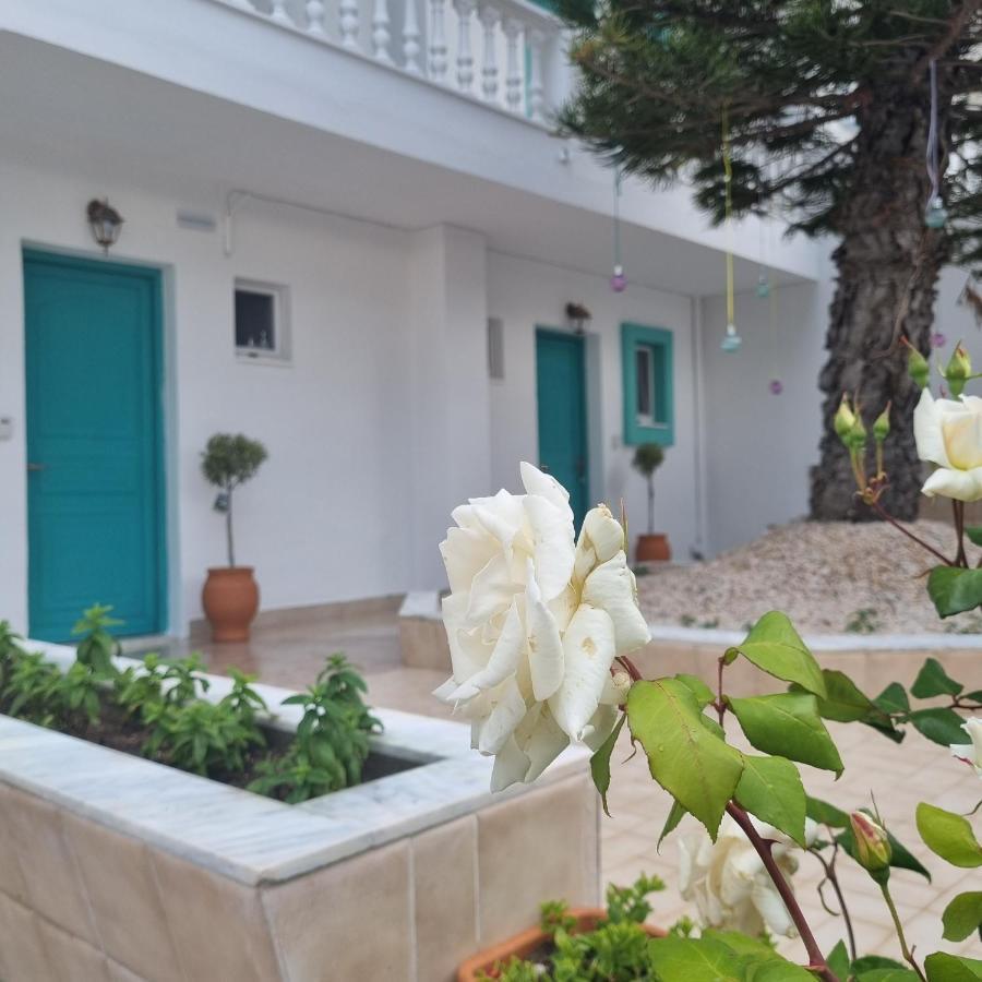 Apartment Arocaria In With Garden , Mountain And Sea View