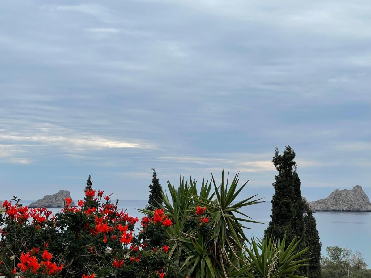 Natica Mare Xerokampos (Crete)