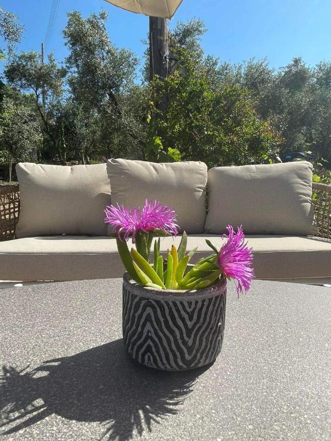 Nissi Collection Aparthotel Argassi