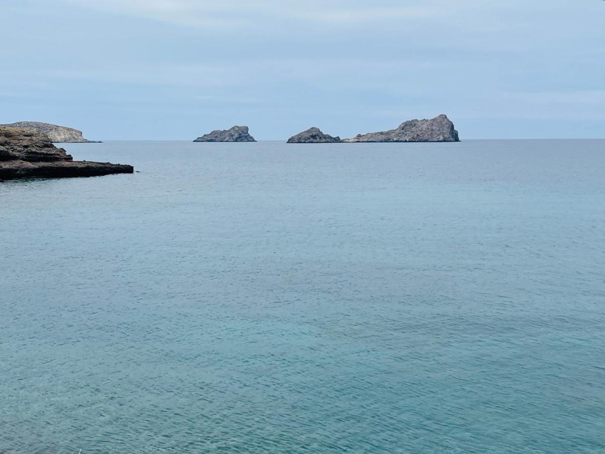 Natica Mare