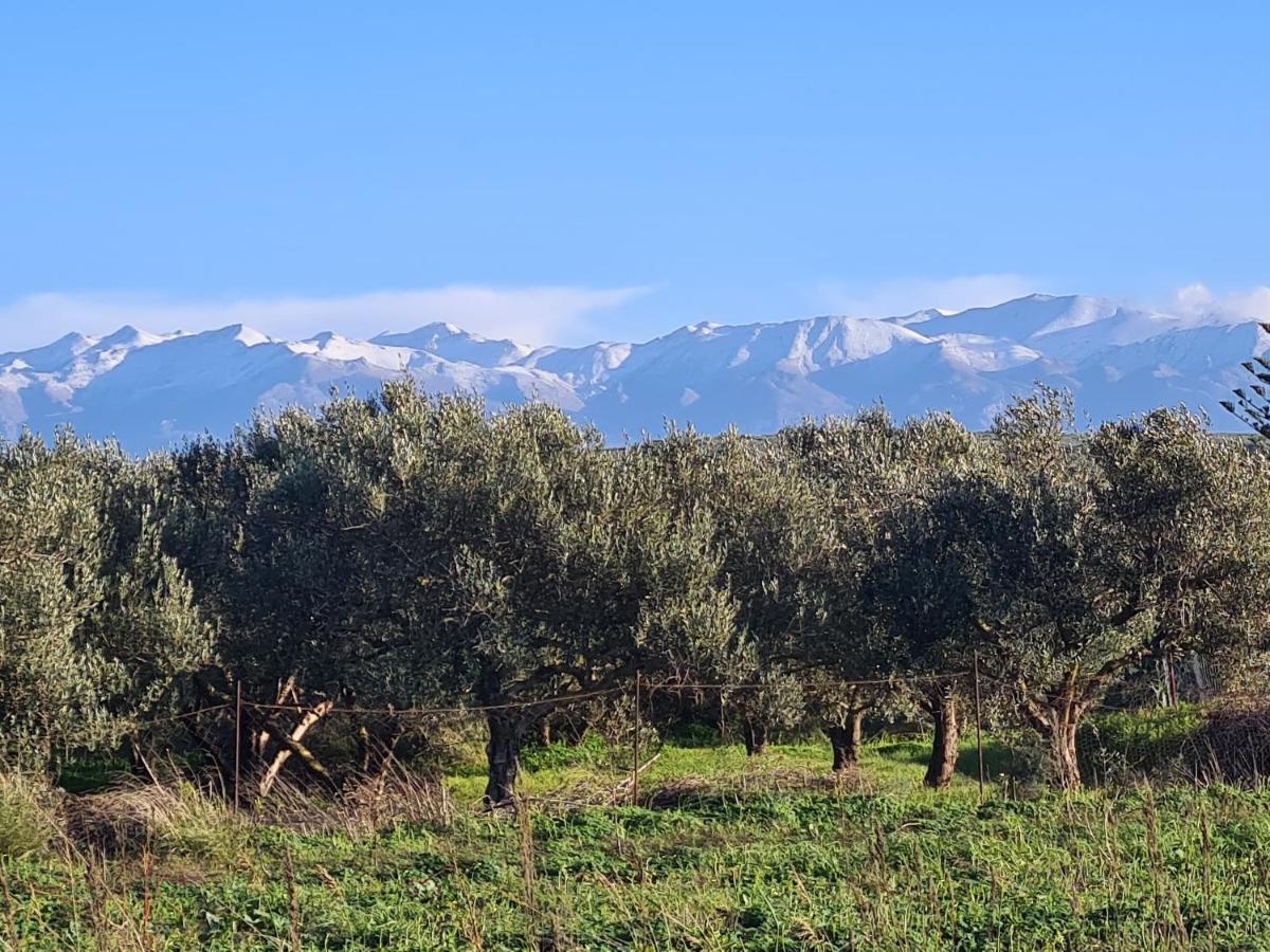 Holiday home Pagoni Selini N 1 Chania