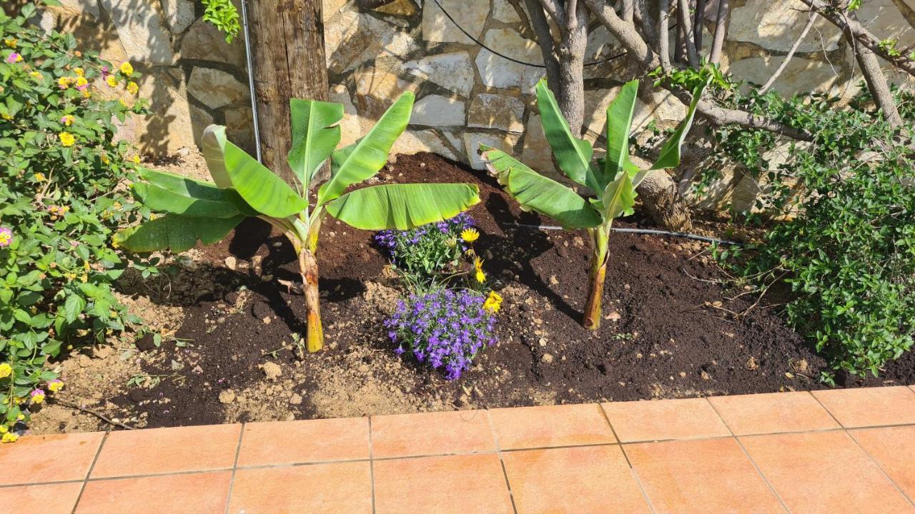 Holiday home Pagoni Selini N 1 Chania