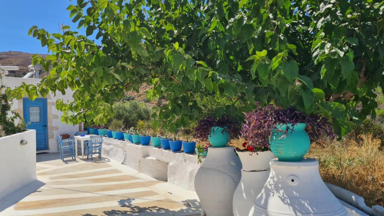 Pagoni Selini N 1 Chania Holiday home *