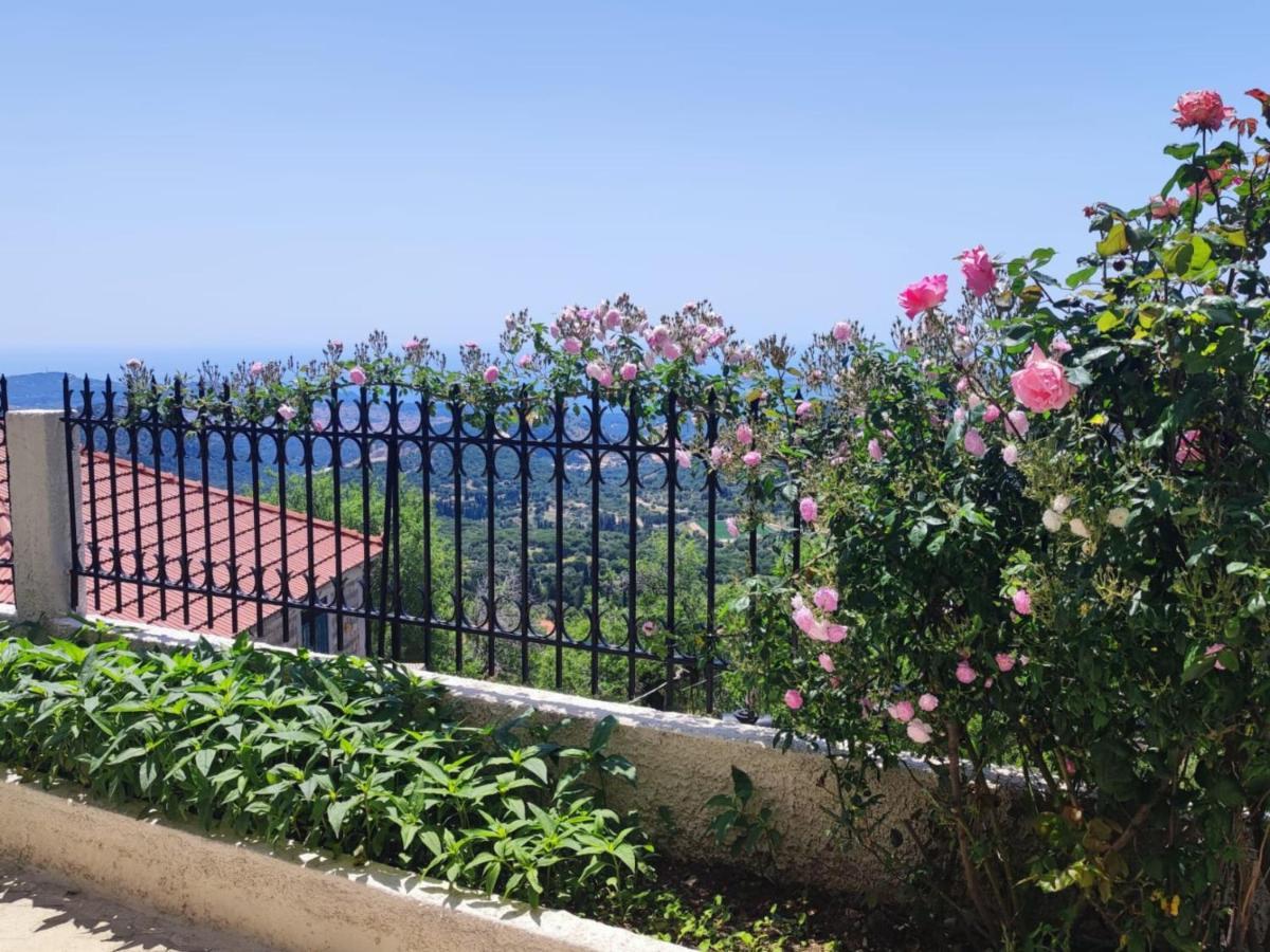 Apartment Fioravante Argostoli (Kefalonia)
