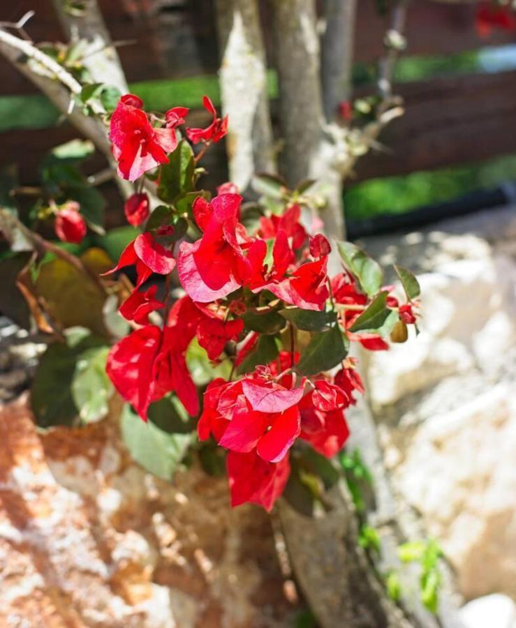 Petalouda Stunning In Zante Villa Tragaki