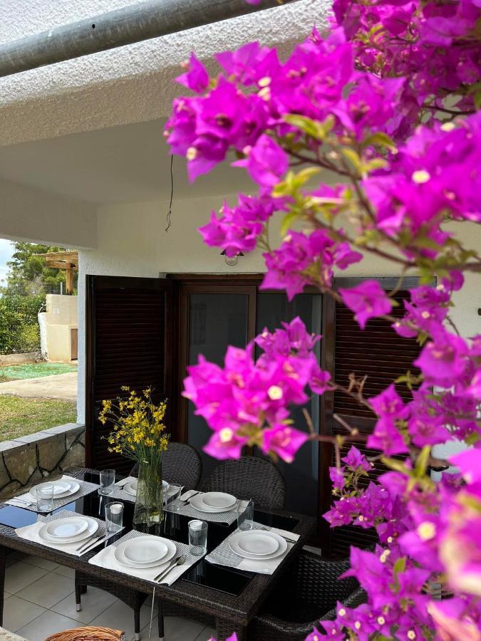 Hacienda Zk Villa