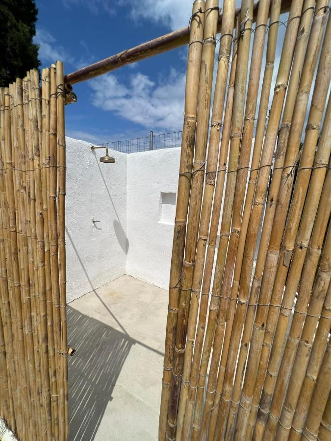 Hacienda Zk *