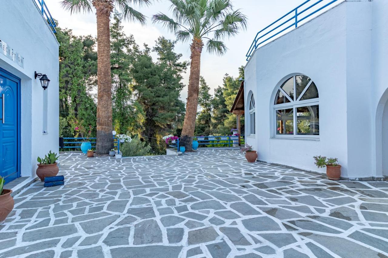 Hotel Theo Boutique