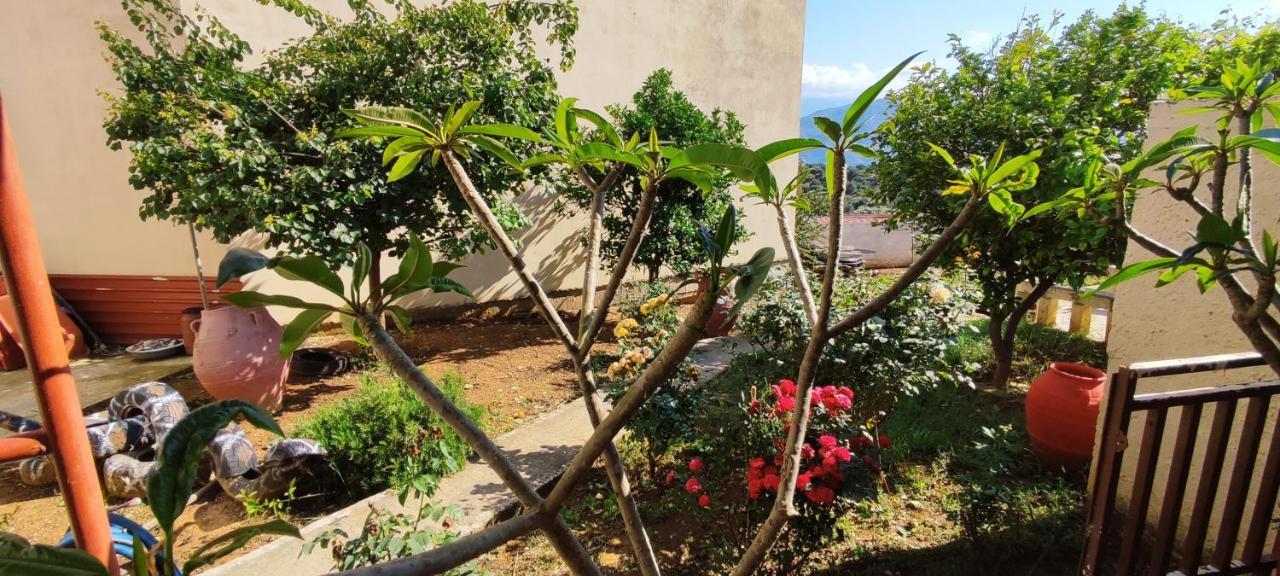 Apartment With A Garden