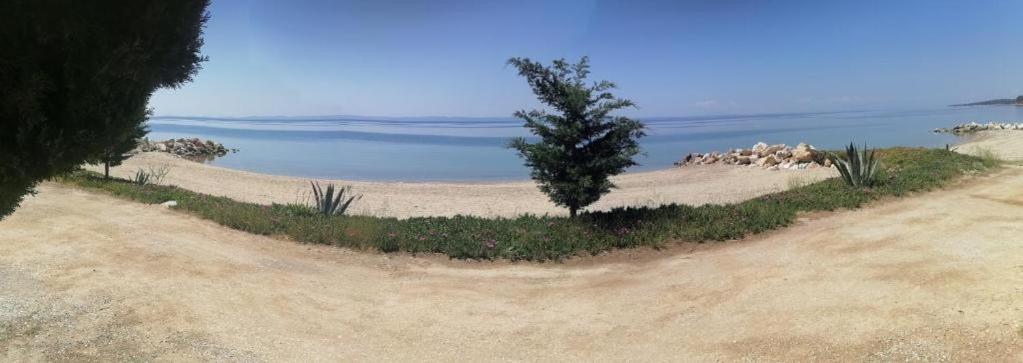 Porto Almira Beachfront Apartrments Nikiti (Sithonia)