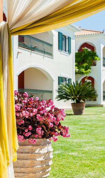 Erietta 4* Tsilivi (Zakynthos)