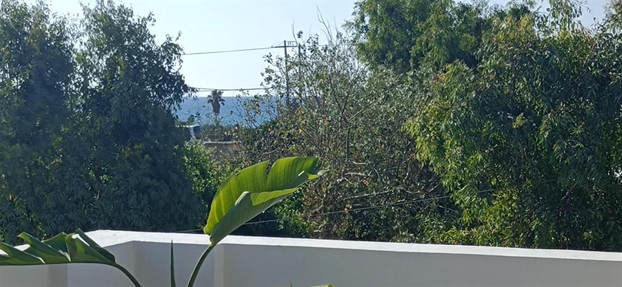 Arokaria Holiday home *