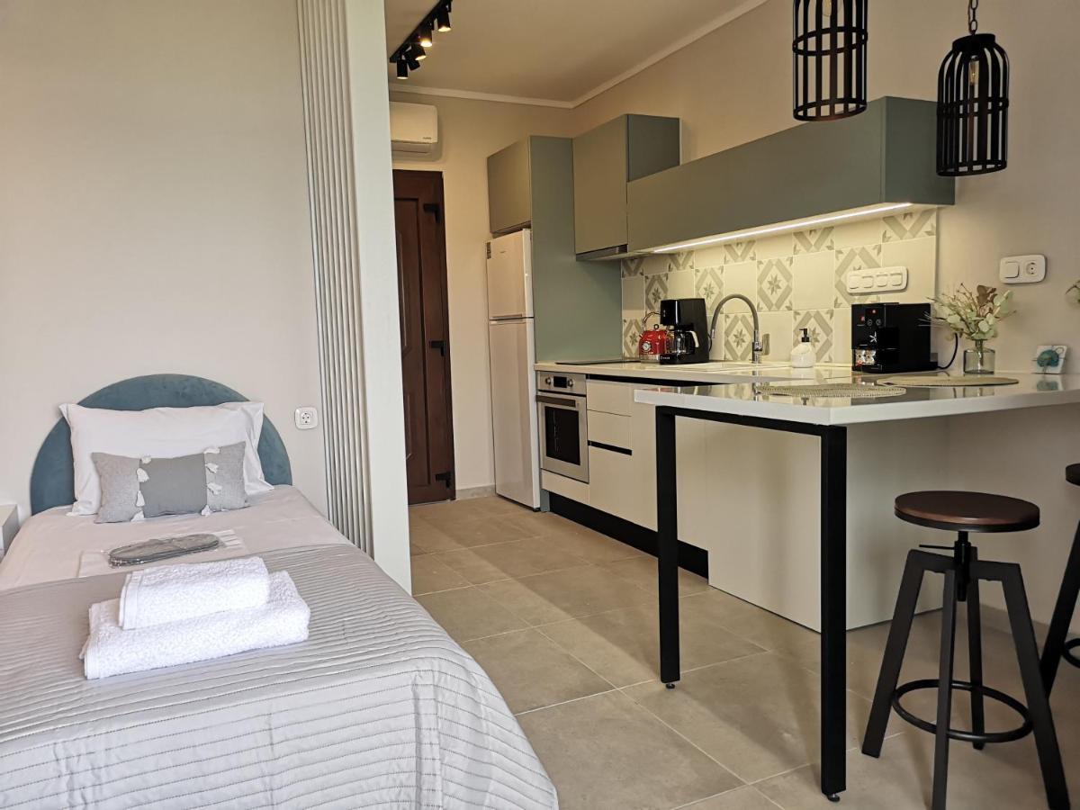 Nasa's Apartment Nikiti (Sithonia)