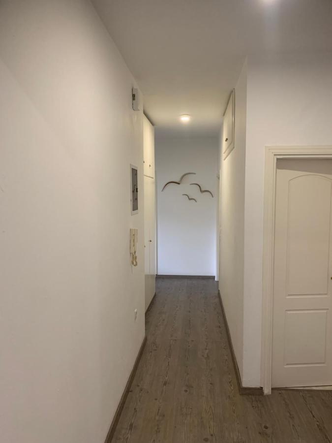 Apartment Mv *