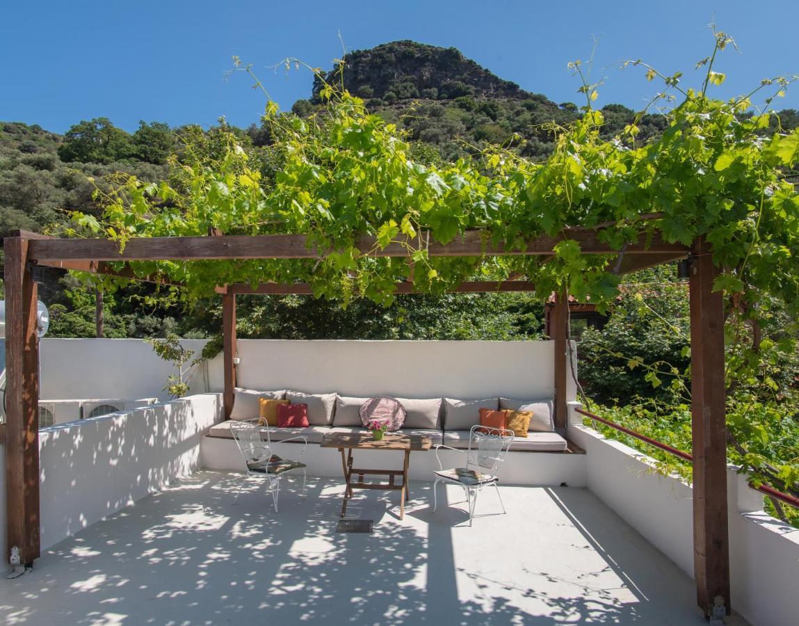 Feneri 3 -cozy Rustic 20' From *