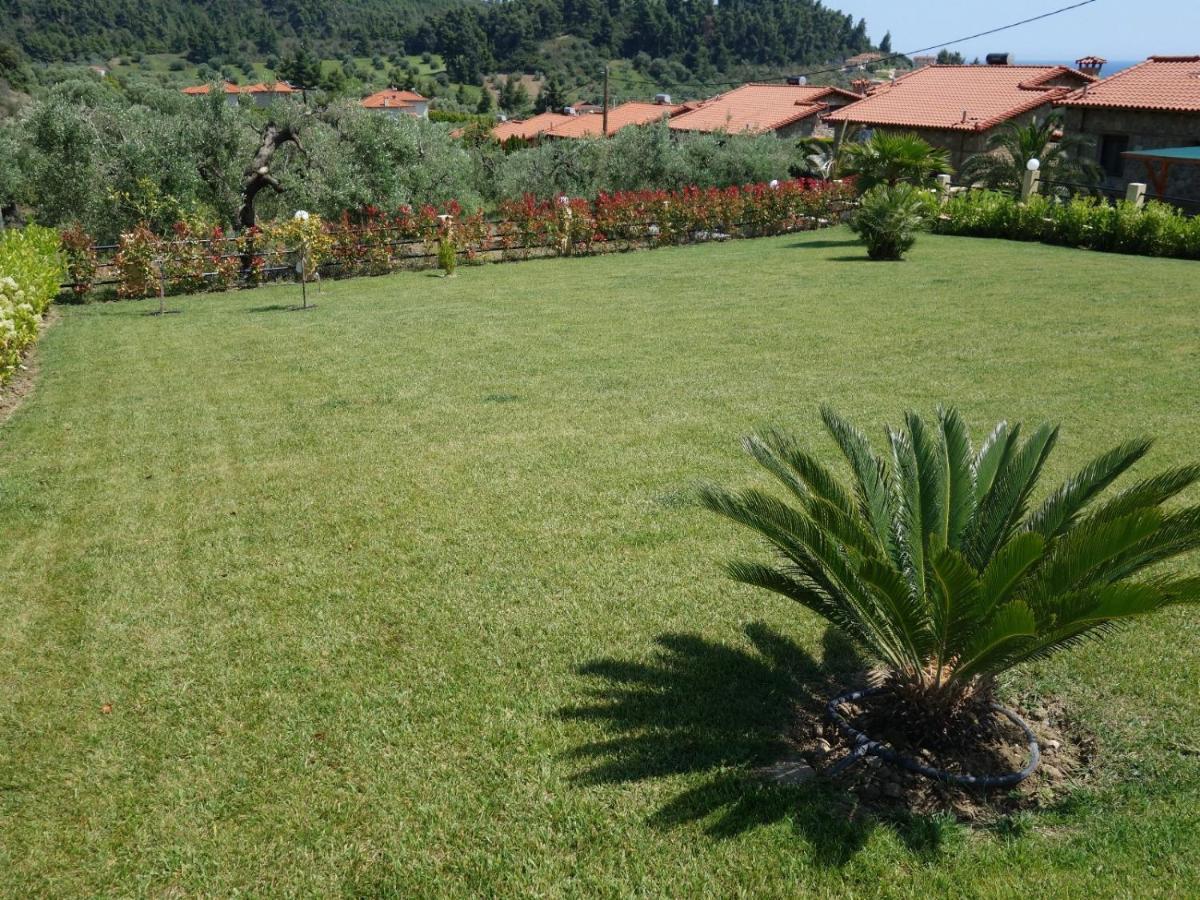 Blue Dream Villa Nea Skioni