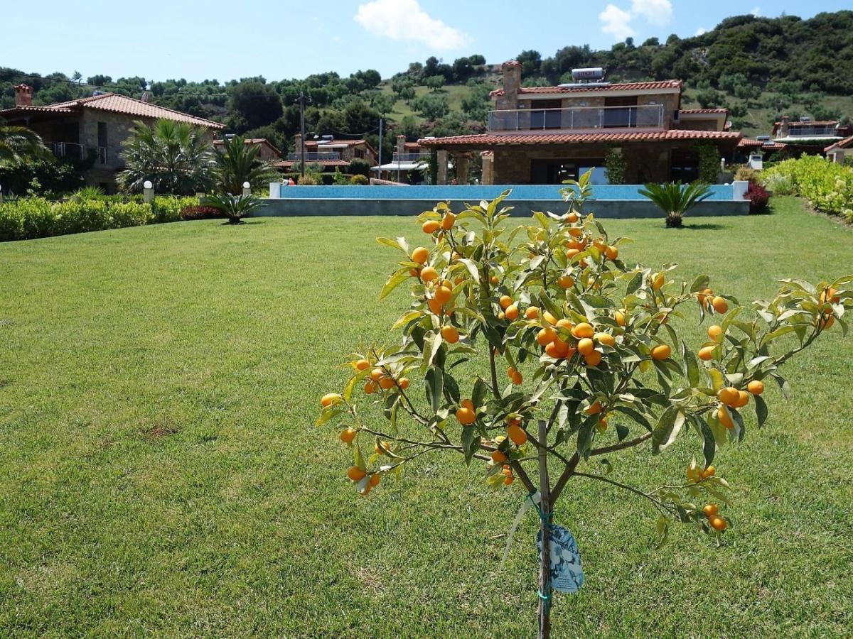 Blue Dream Villa *