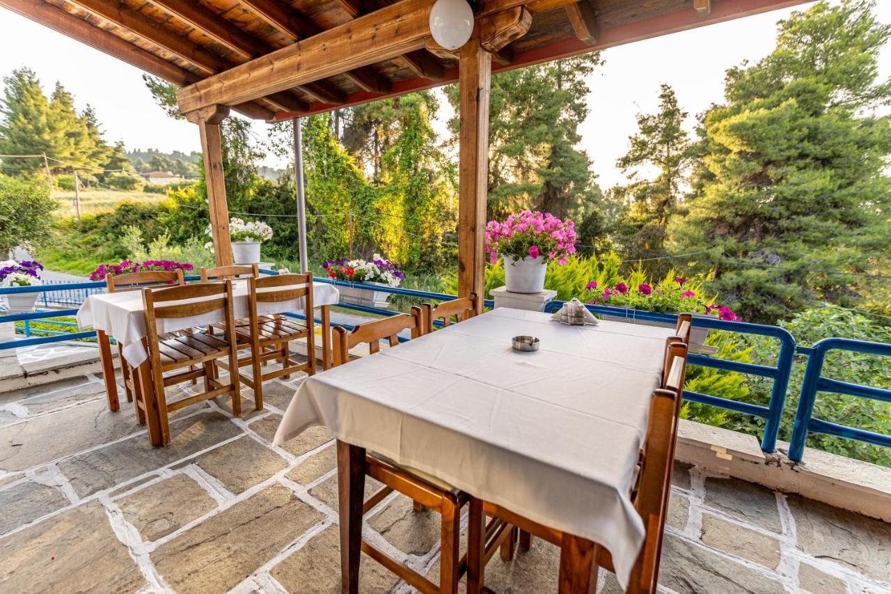 Theo Boutique Hotel 3*