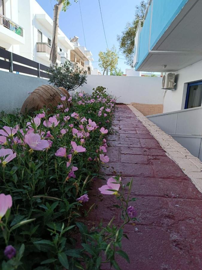 Mina Apartment