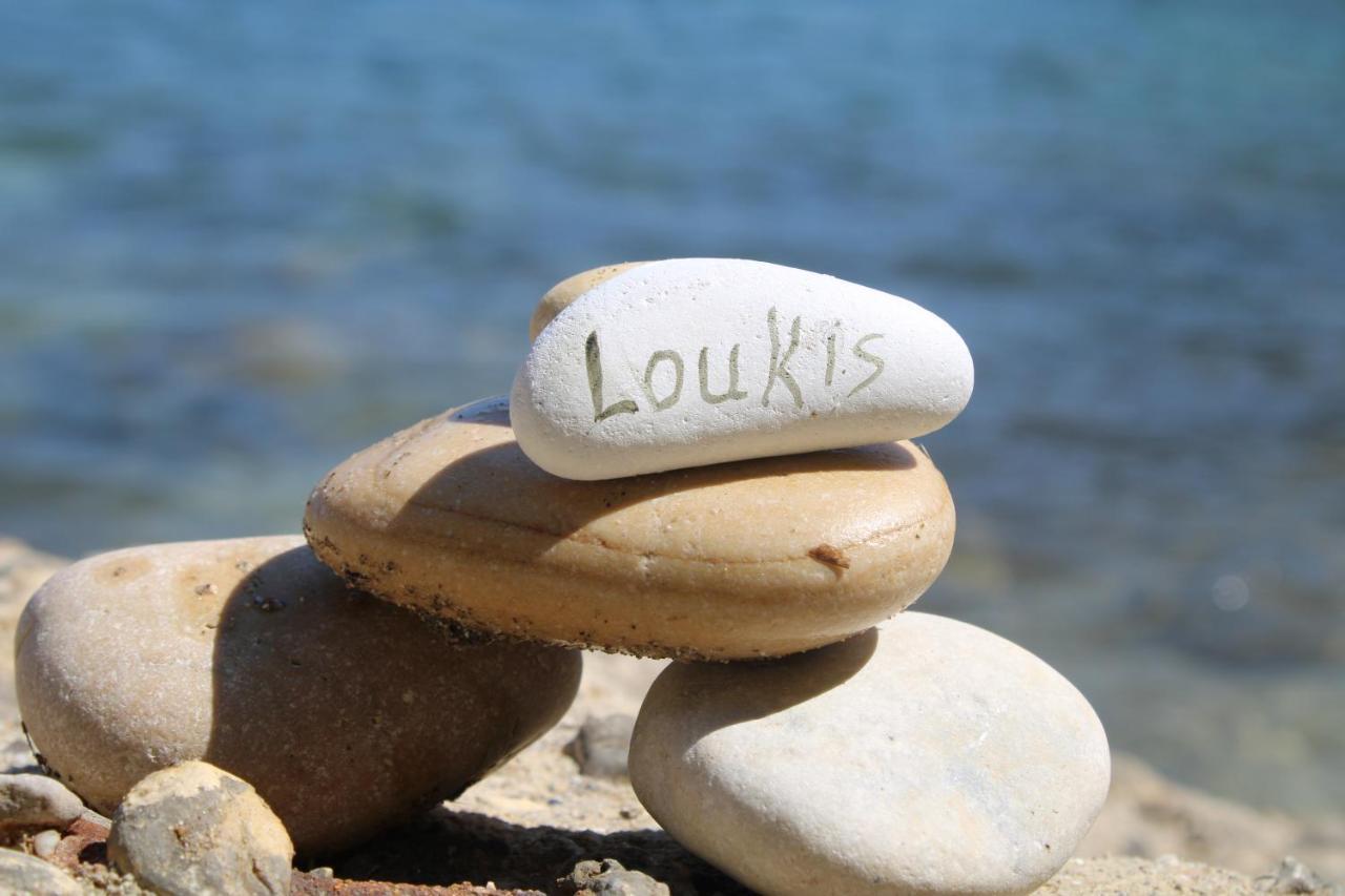 Aparthotel Archontiko Loukis
