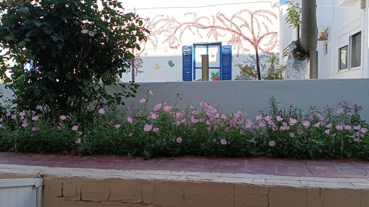 Mina Kardamena (Kos)