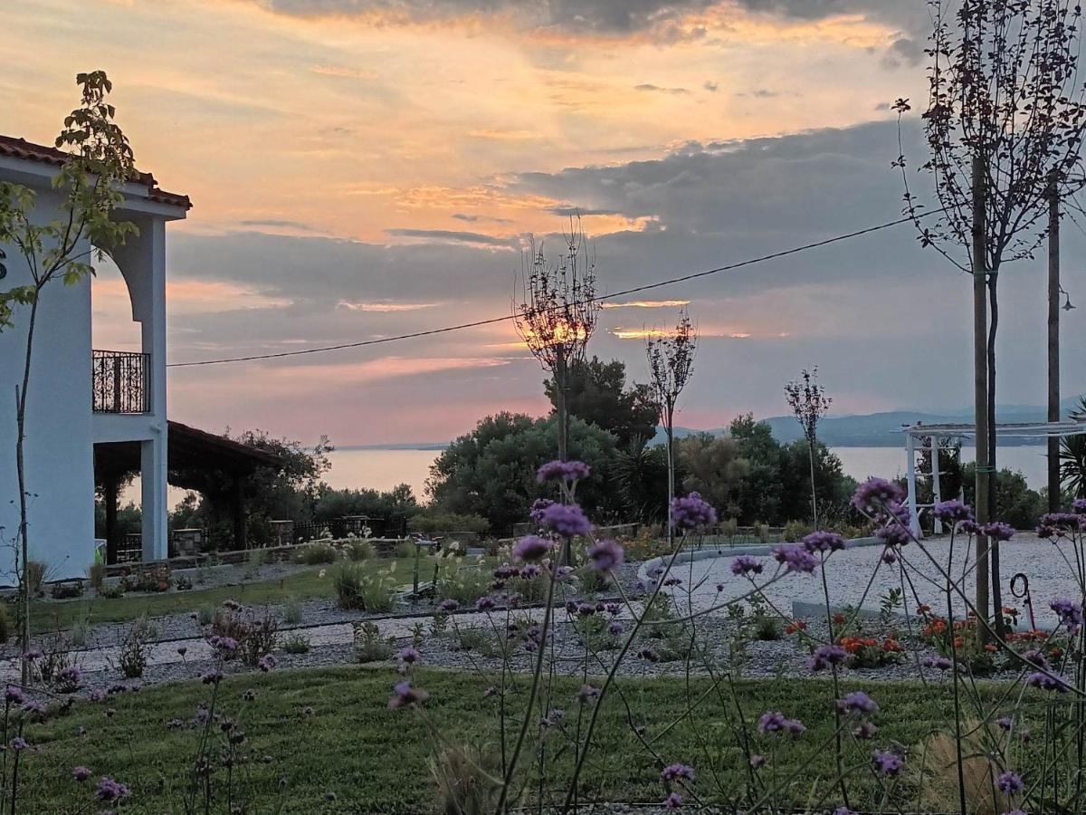 Nasa's Apartment Nikiti (Sithonia)