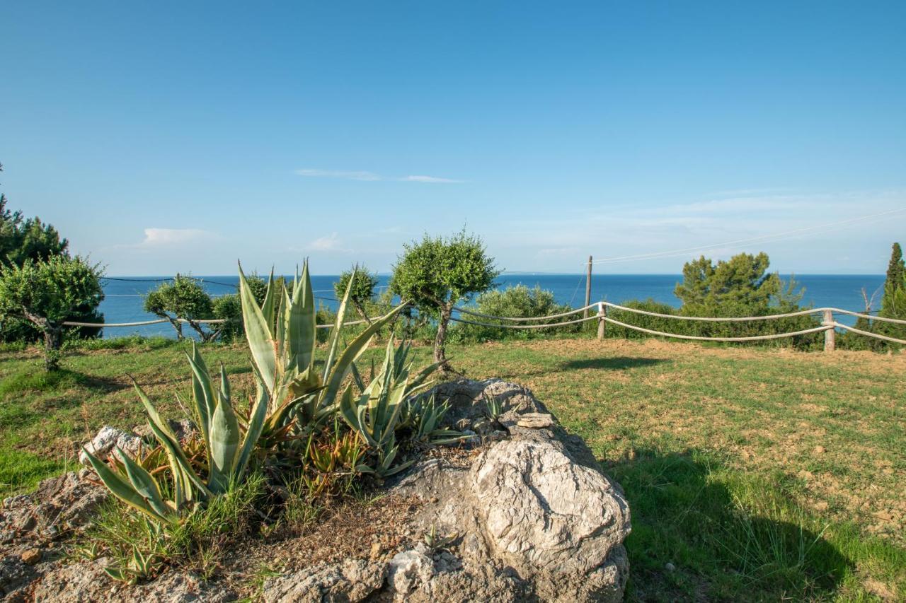 Apartment Arpyia Vasilikos (Zakynthos)