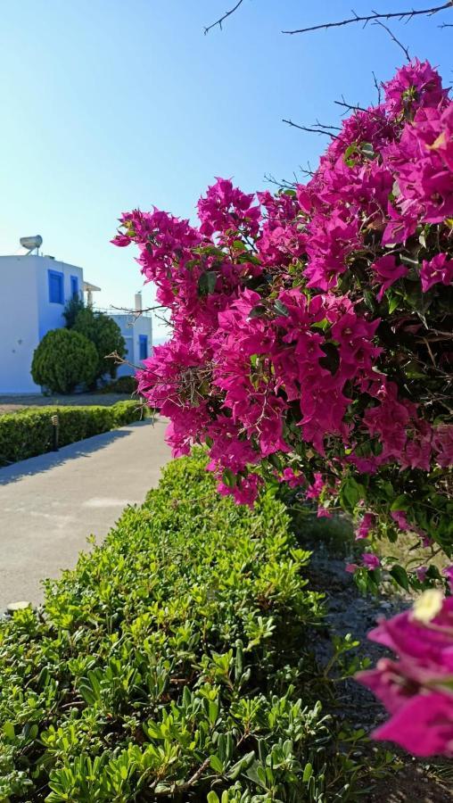 Nautilus House Aparthotel 2*