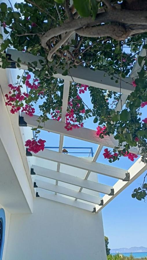 Nautilus House Aparthotel Paradisi (Rhodes)