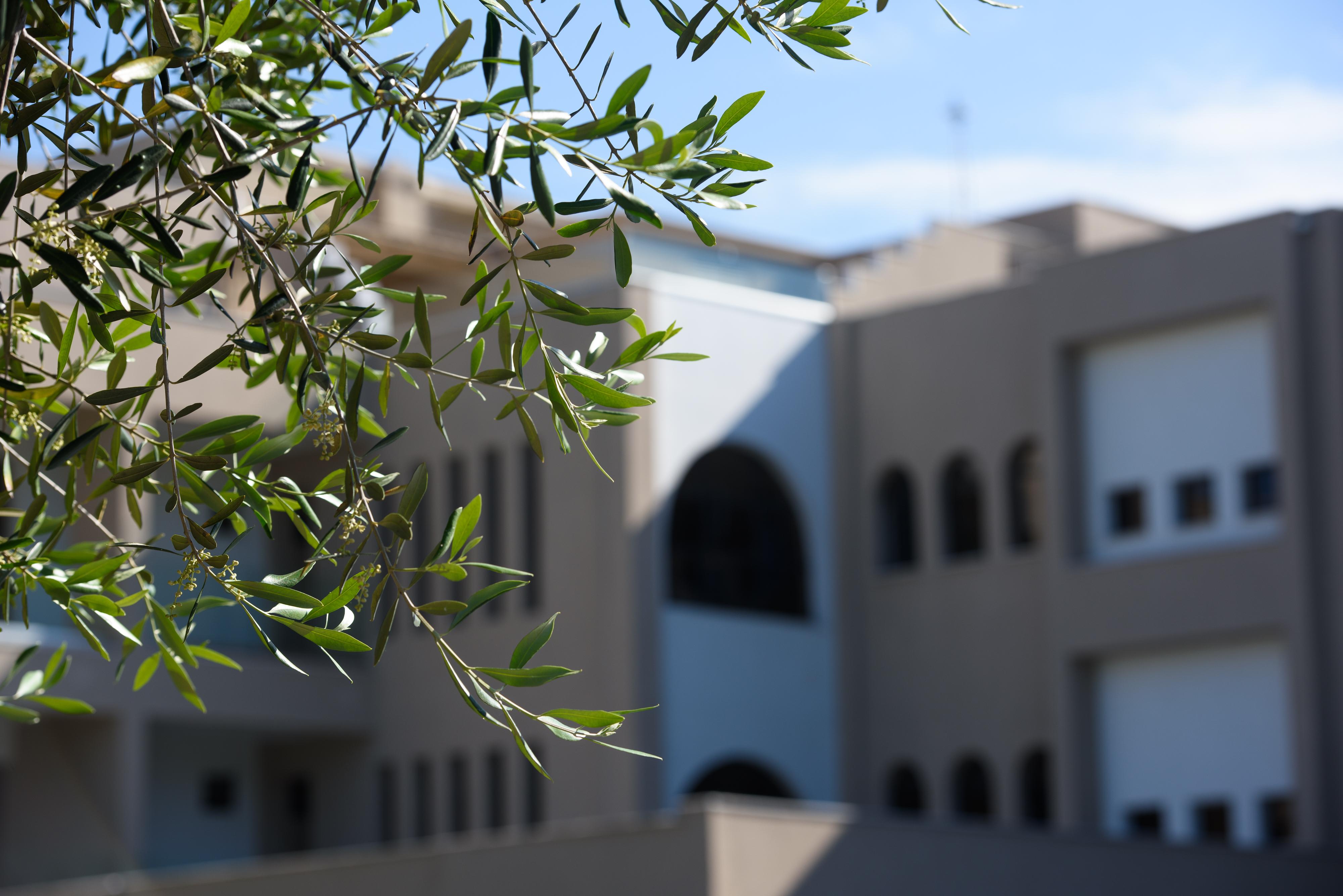 Iolida Corfu By Smile Hotel Dassia (Corfu)