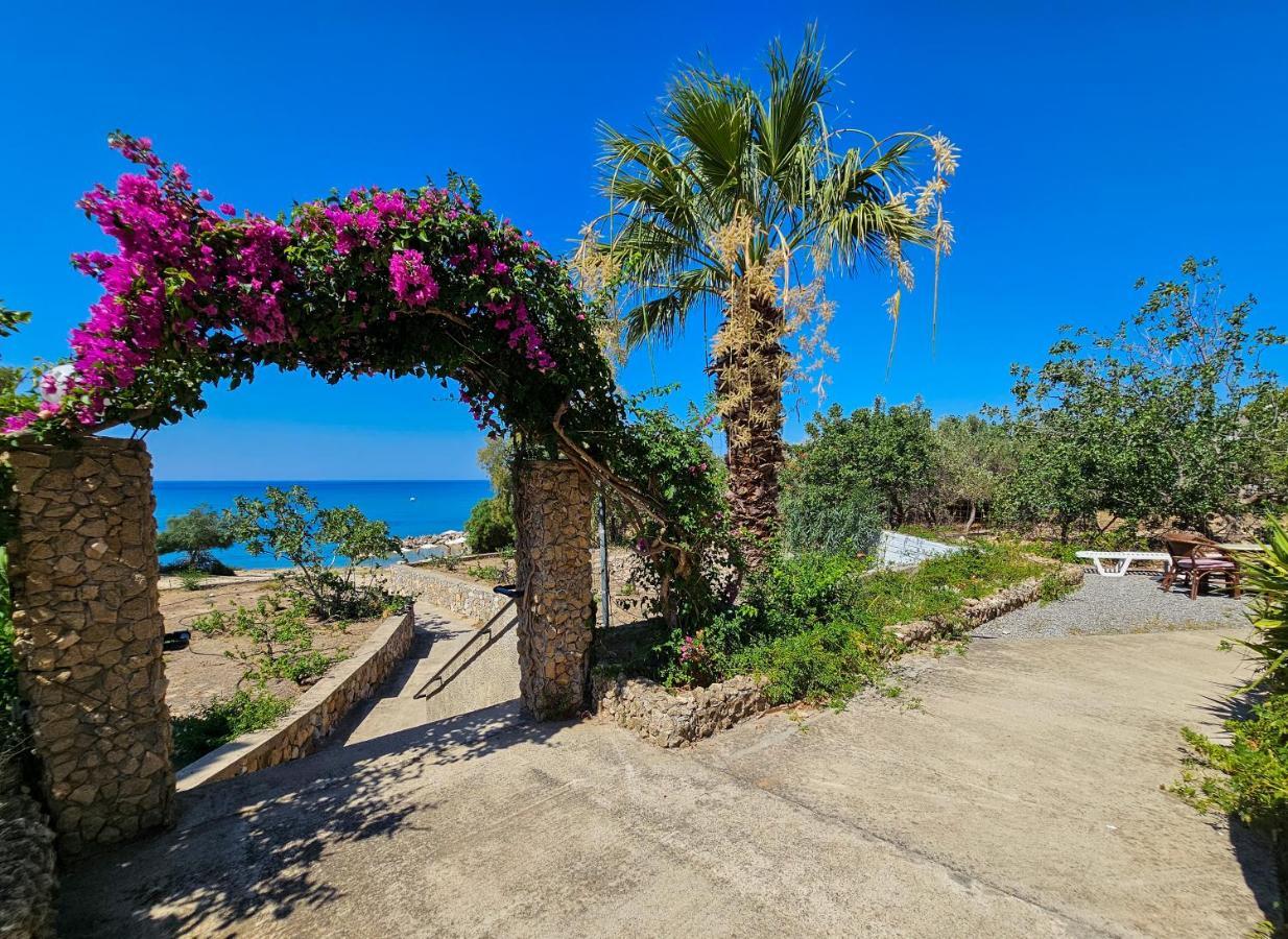 George Seaside Serviced & Aparthotel *