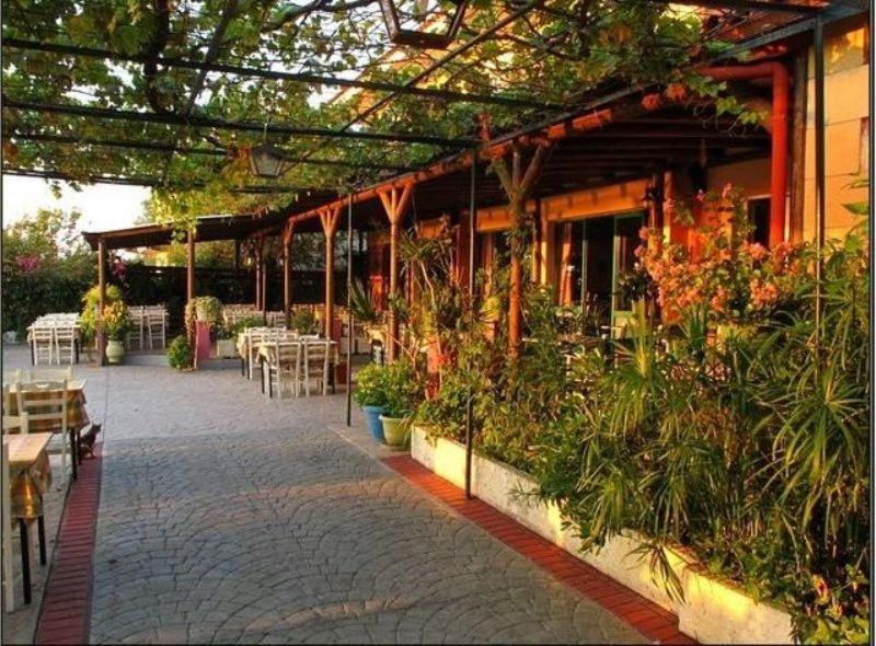 Aparthotel Apolafsi