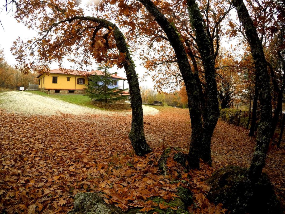 Bed & Breakfast Agramada *