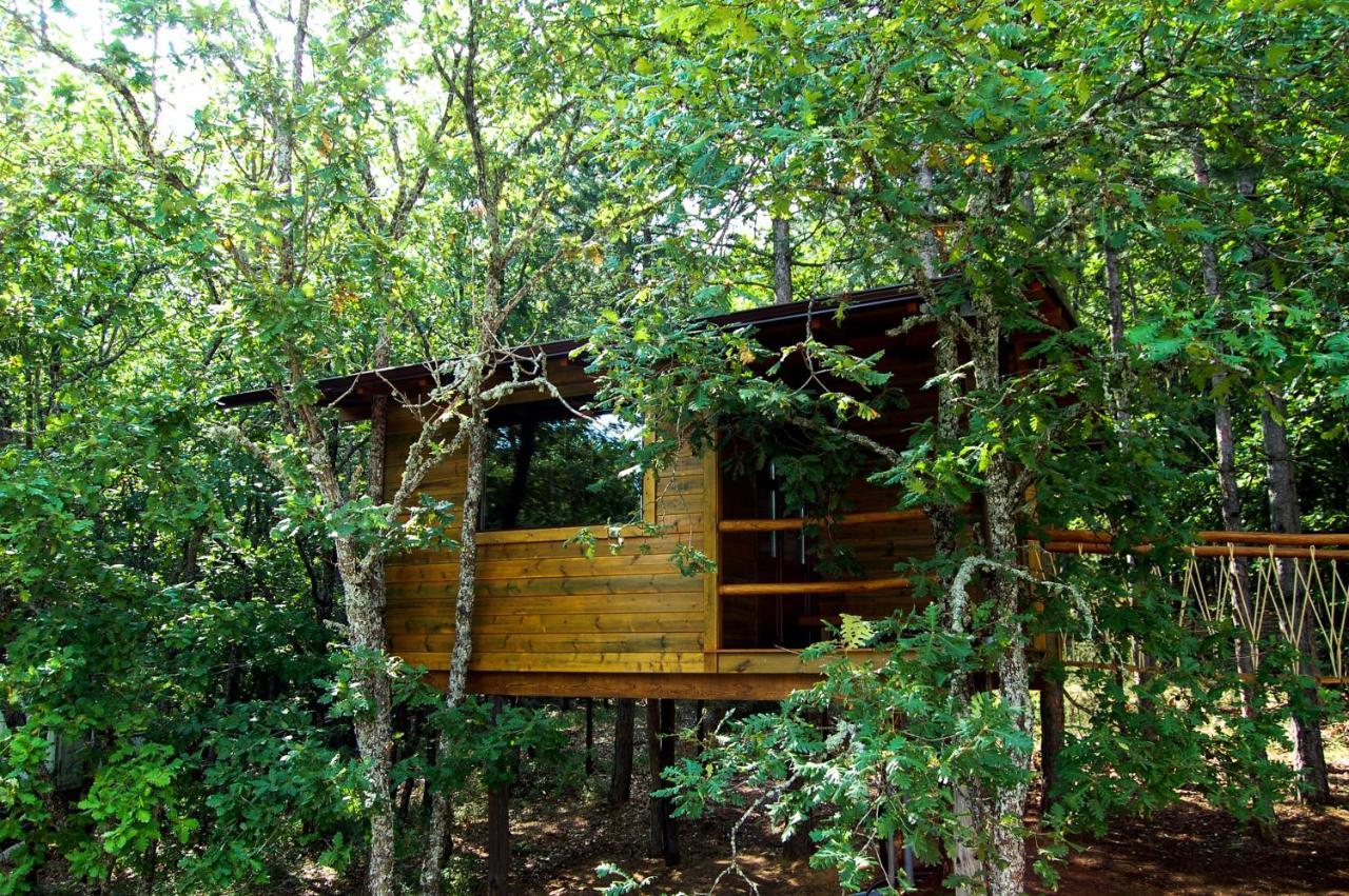 Bed & Breakfast Agramada *