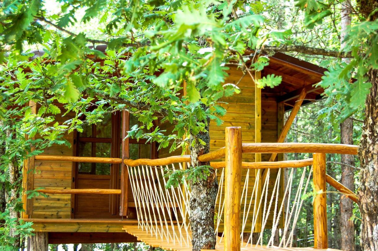Bed & Breakfast Agramada Arnaia