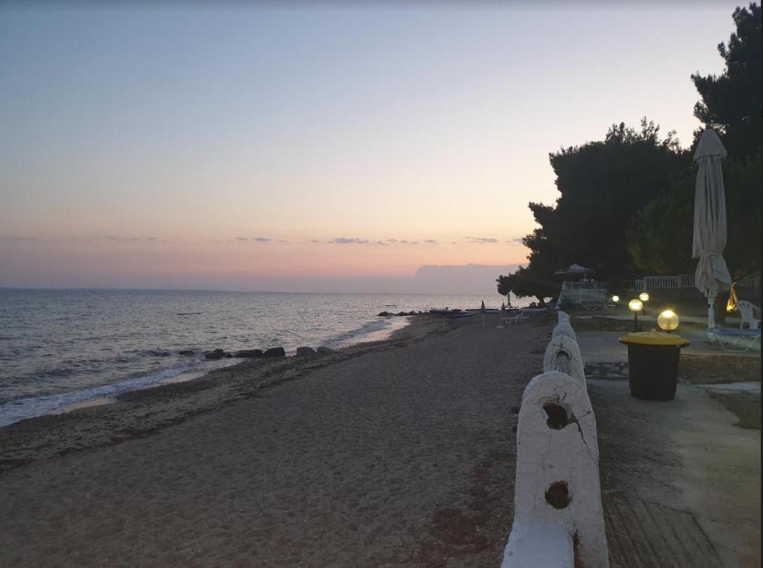 Aparthotel On The Wave Spitakia Sto Kyma *