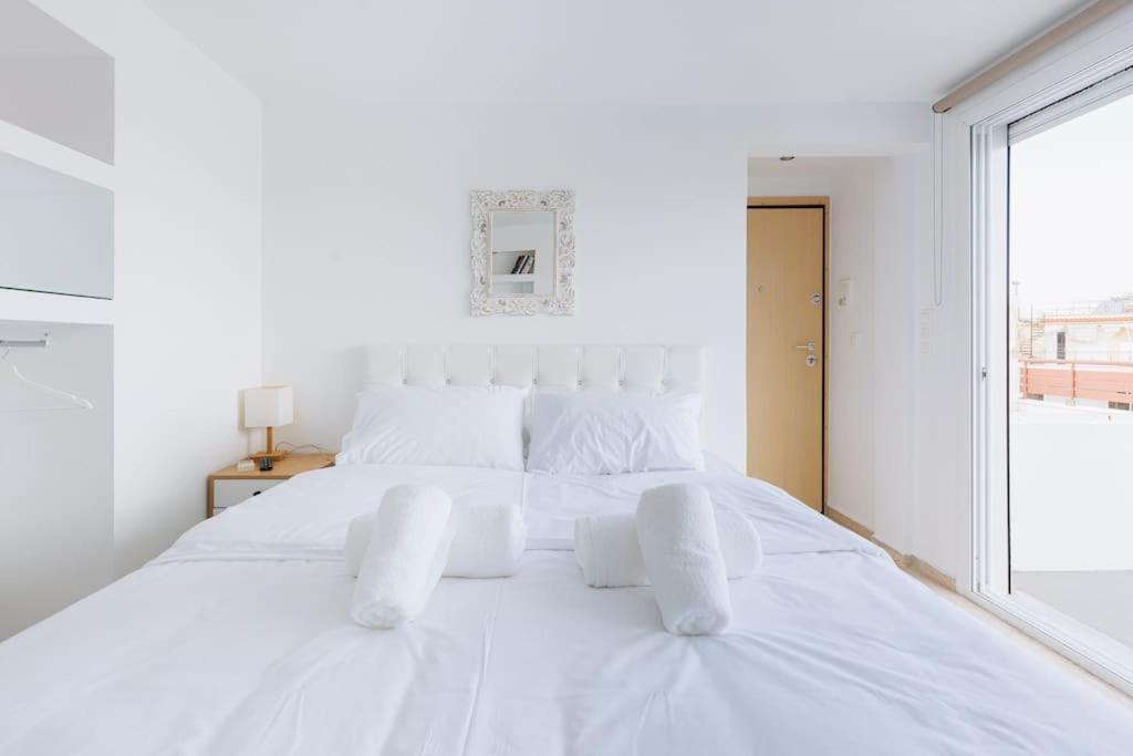 Apartment Amazing Rooftop With Large Private Balcony Athens