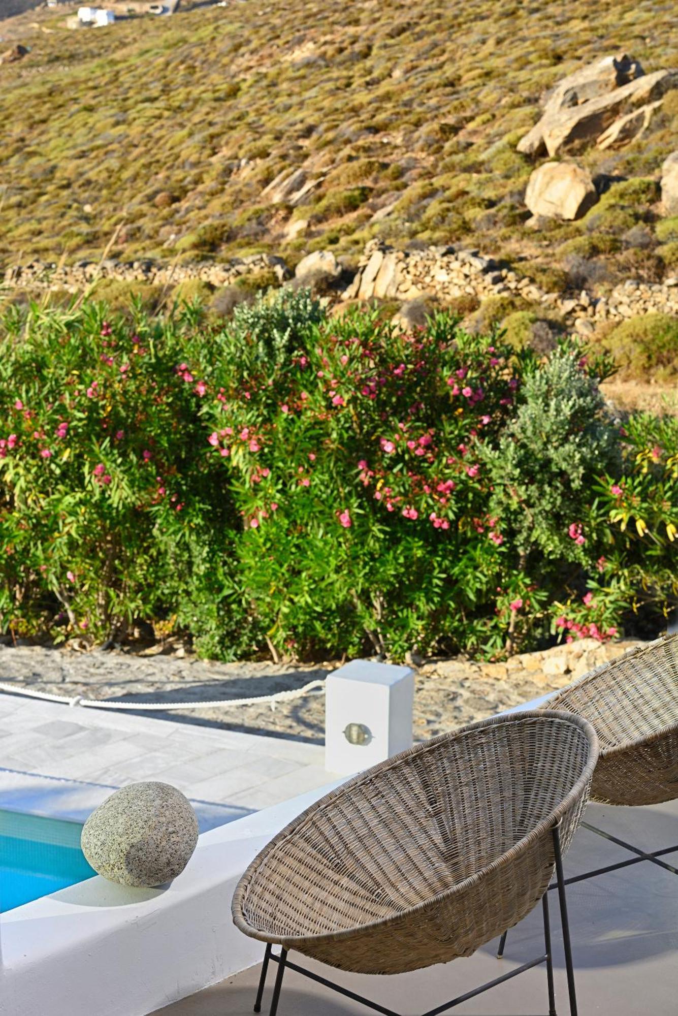 Hotel Mykonos Dream