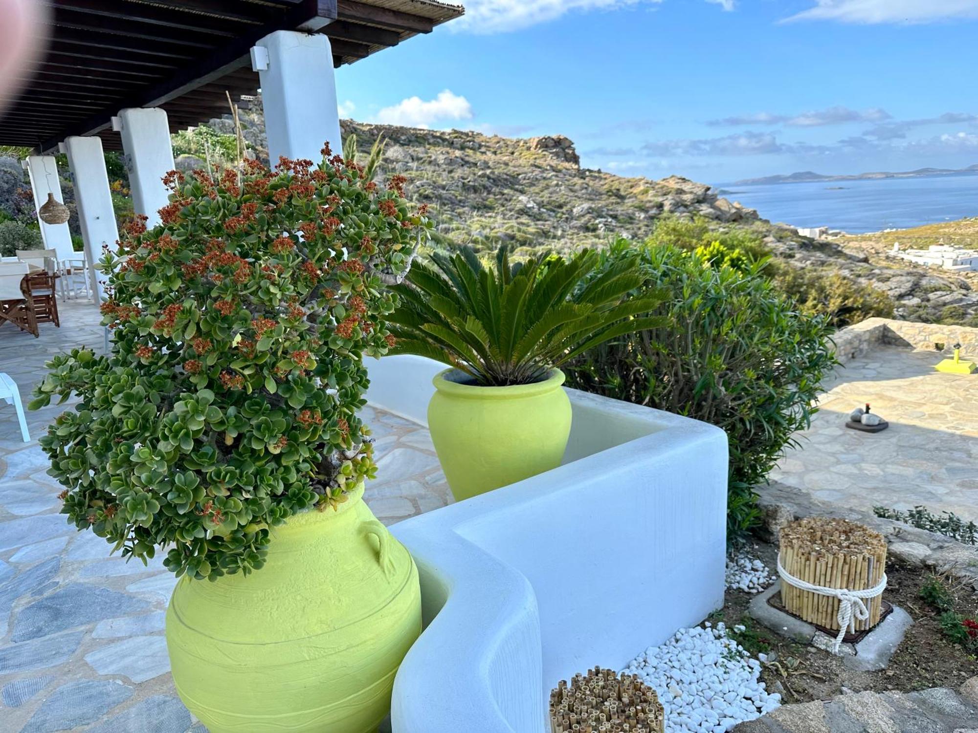 Helios Max * Mykonos Town