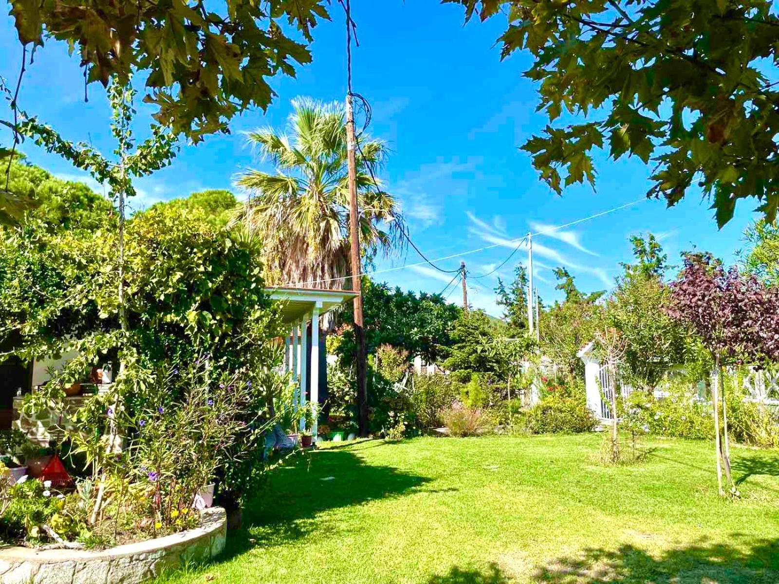 Holiday home Nina Holidays *