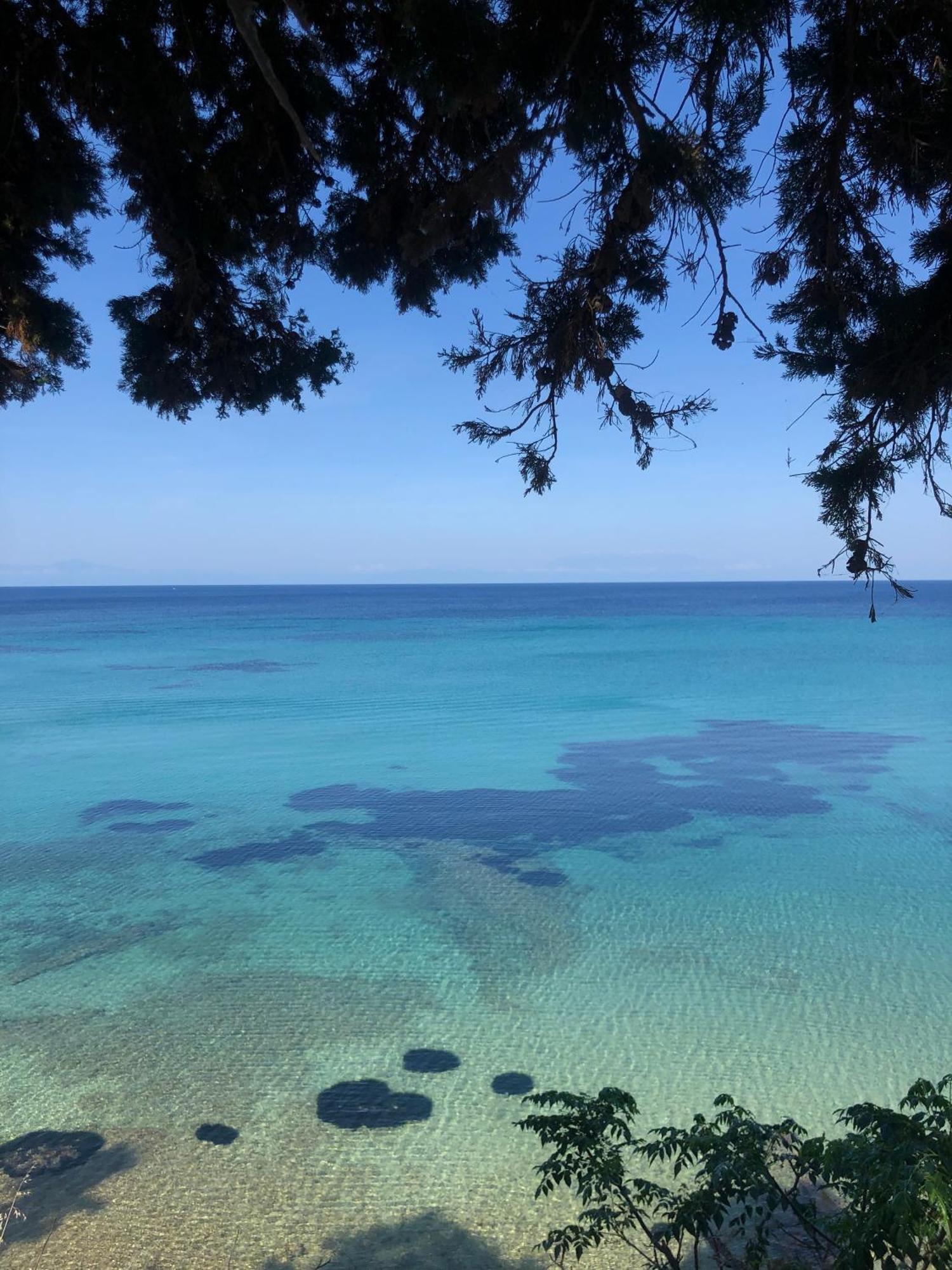 Casa Portokali Chalkidiki - Modern Comfort With Authentic Greek Charm Apartment