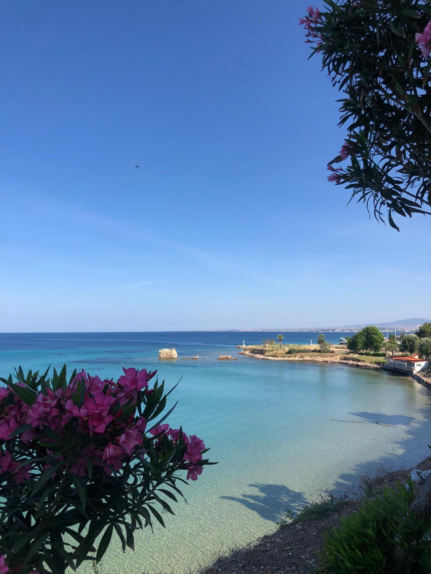 Apartment Casa Portokali Chalkidiki - Modern Comfort With Authentic Greek Charm *