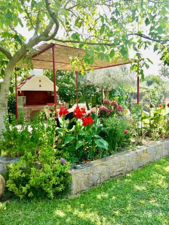 Nina Holidays Holiday home Paralia Sikias