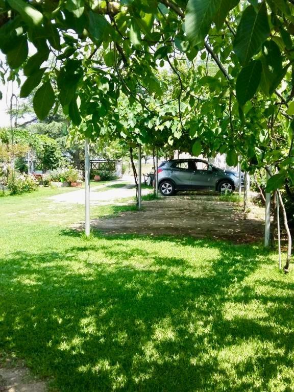 Holiday home Nina Holidays Paralia Sikias
