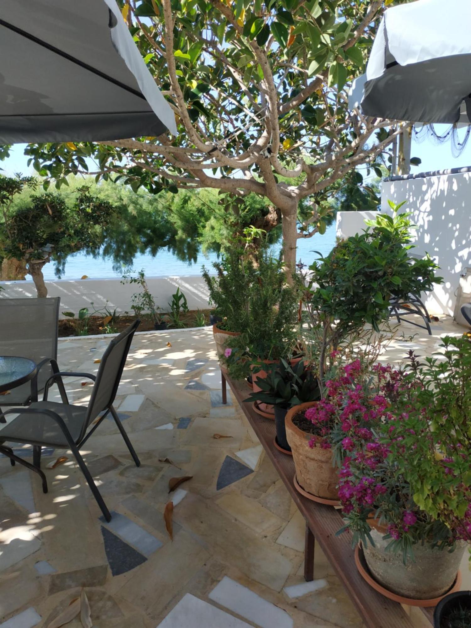 Creta Sun Apartment