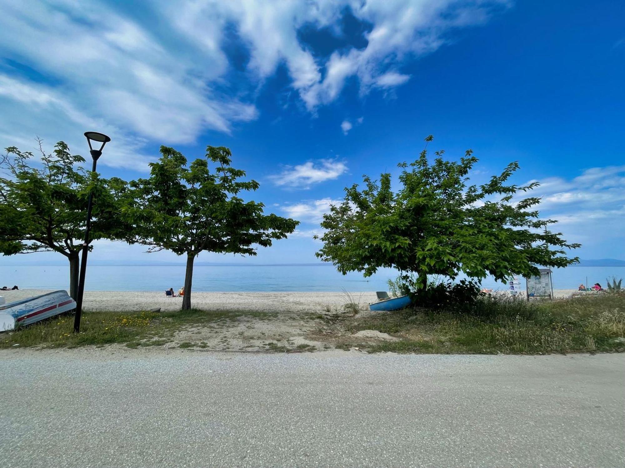 Paradise Overlook - Beachfront *