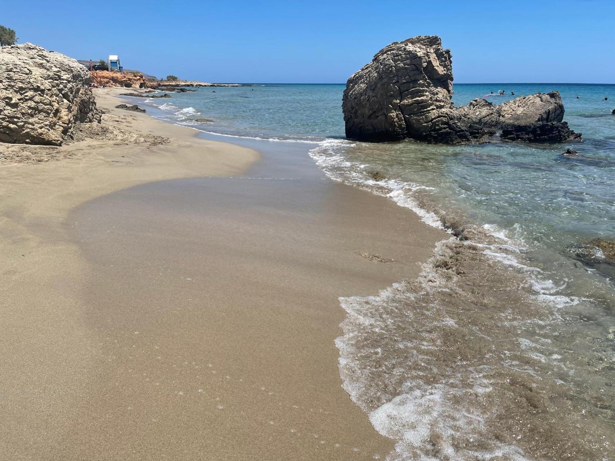Natica Mare *
